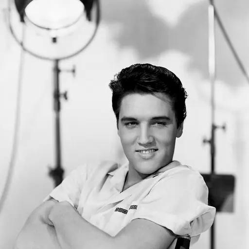 illustration: Elvis Presley