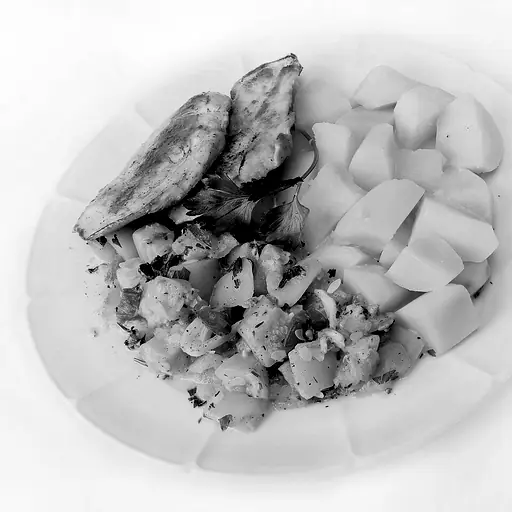 illustration: dish