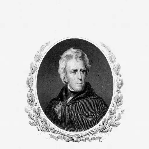 illustration: Andrew Jackson